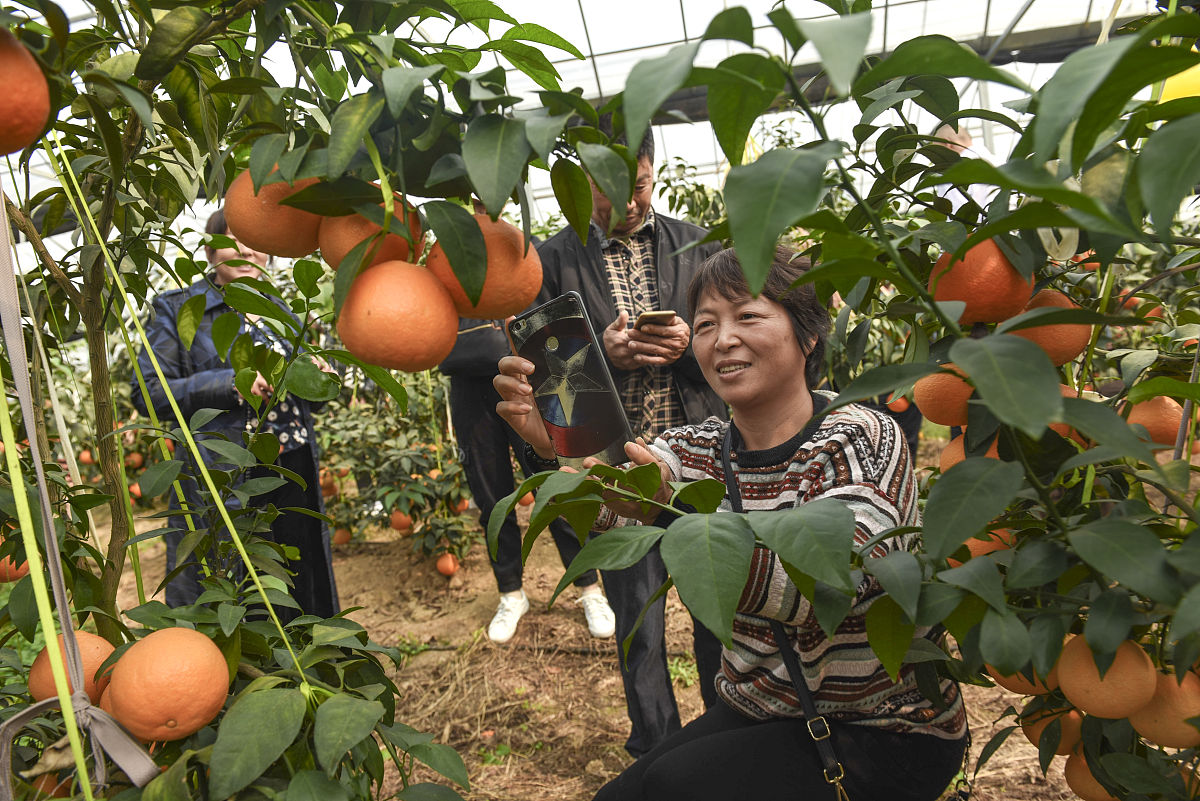成都建筑学校建筑学专业和土木工程的区别：详细对比分析