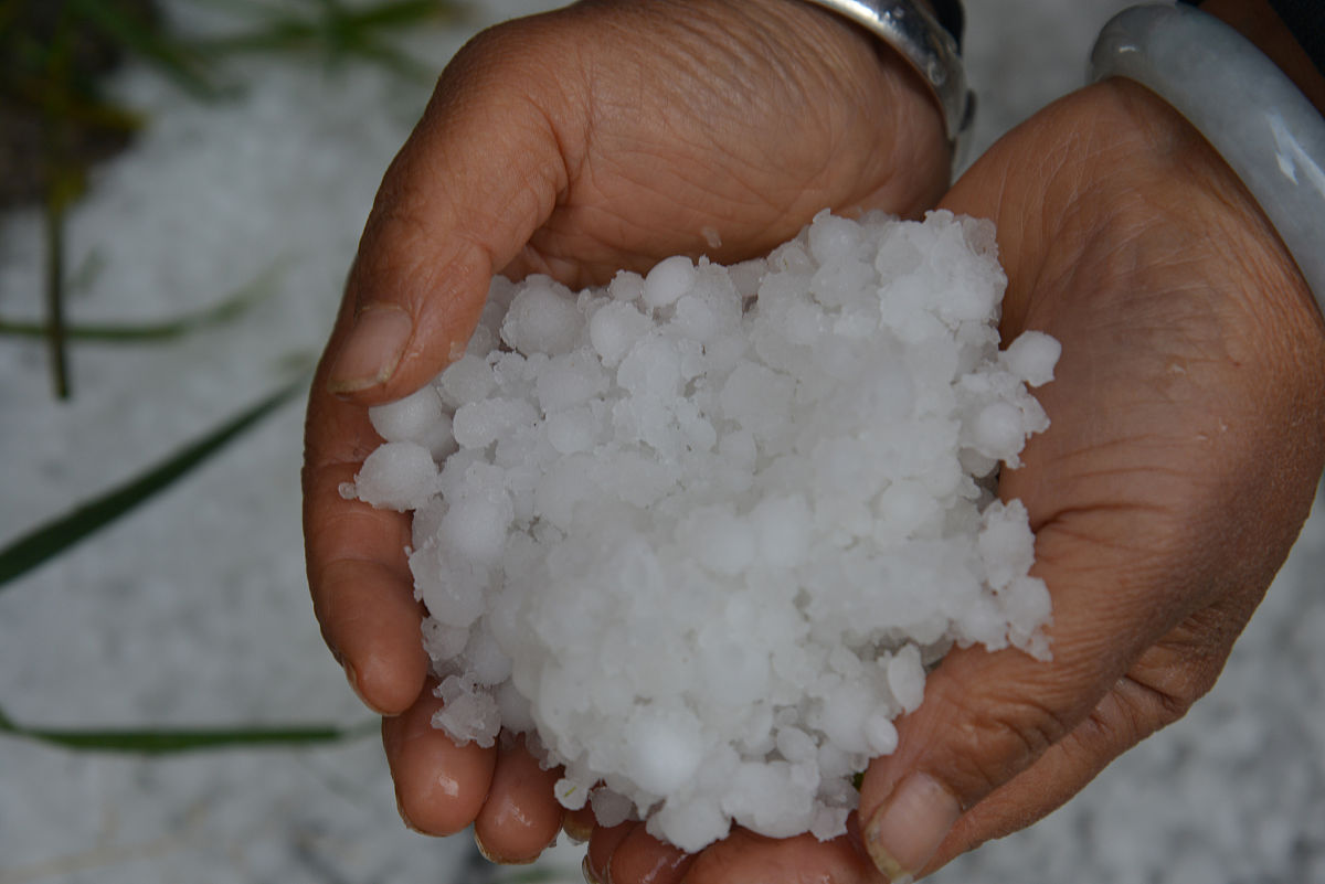 云南省水利水电学校2022年招生条件及报名指南