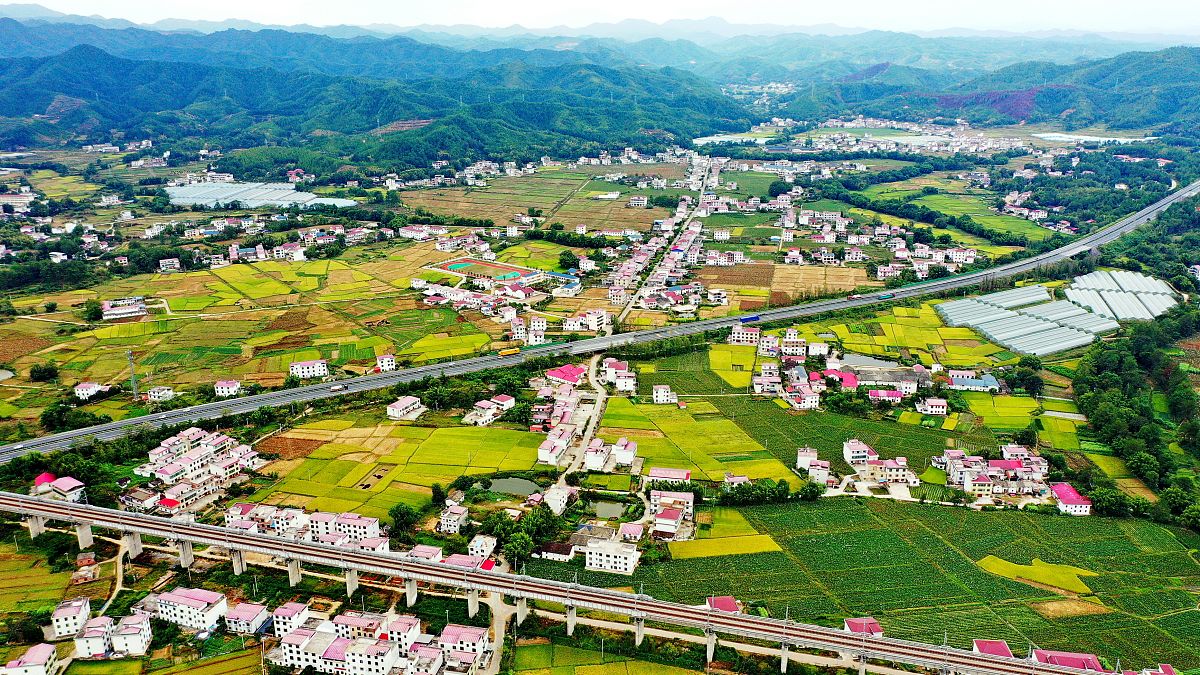 重庆轻轨高铁学校有哪些