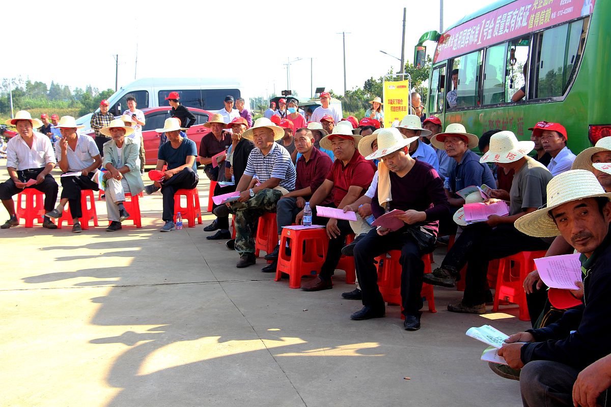 贵州省农业广播电视学校农村经济综合管理专业：学习内容、就业前景