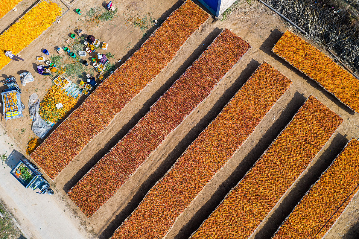 运城财经学校地址：位于运城市盐湖区解放南路169号