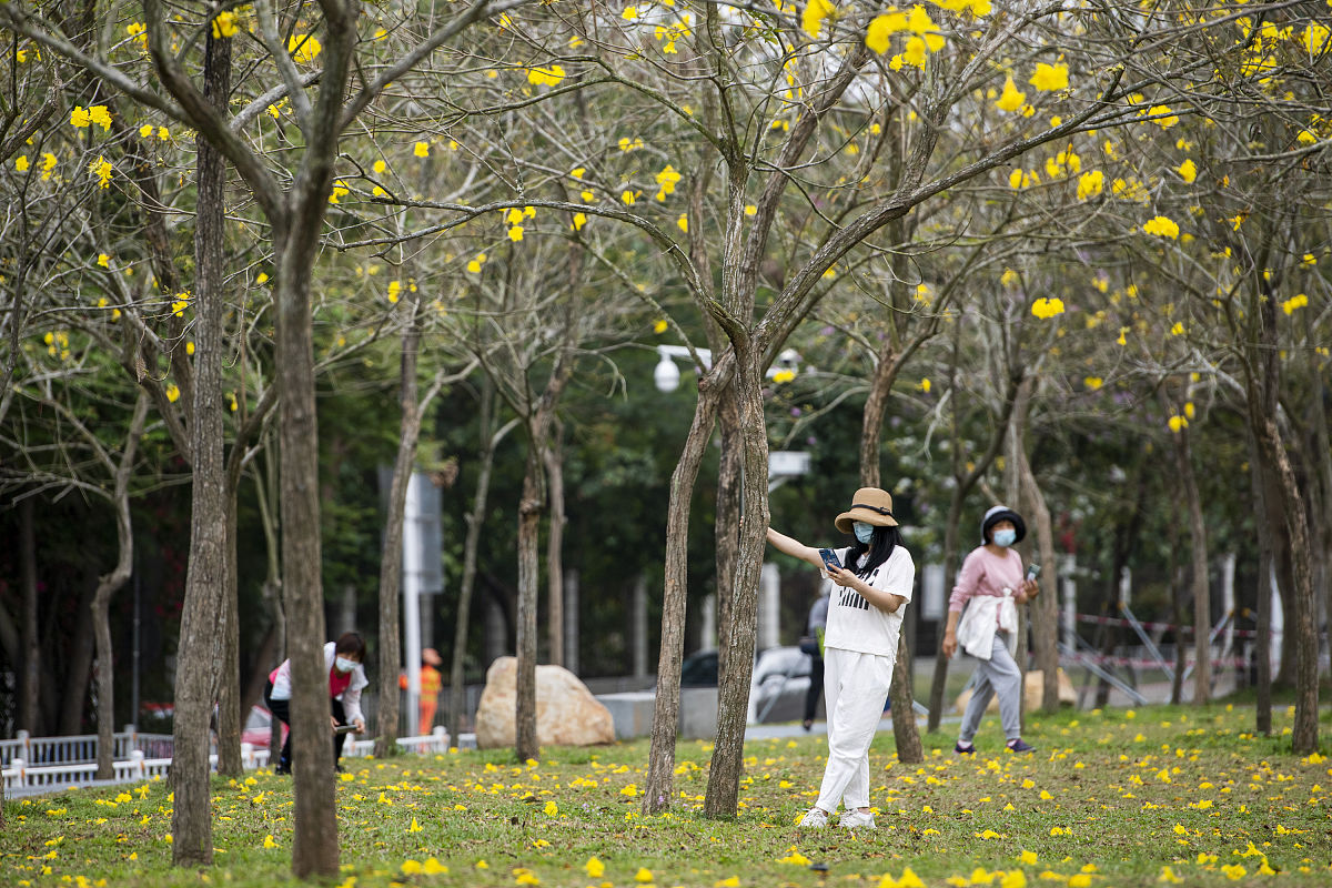 2022年3月21日,深圳恢复正常生产生活秩序,市民在户外休闲娱乐,享受春