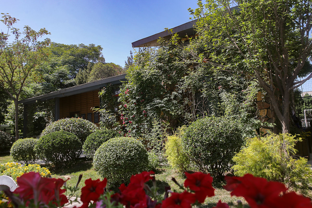 形容课堂氛围好的四字词语