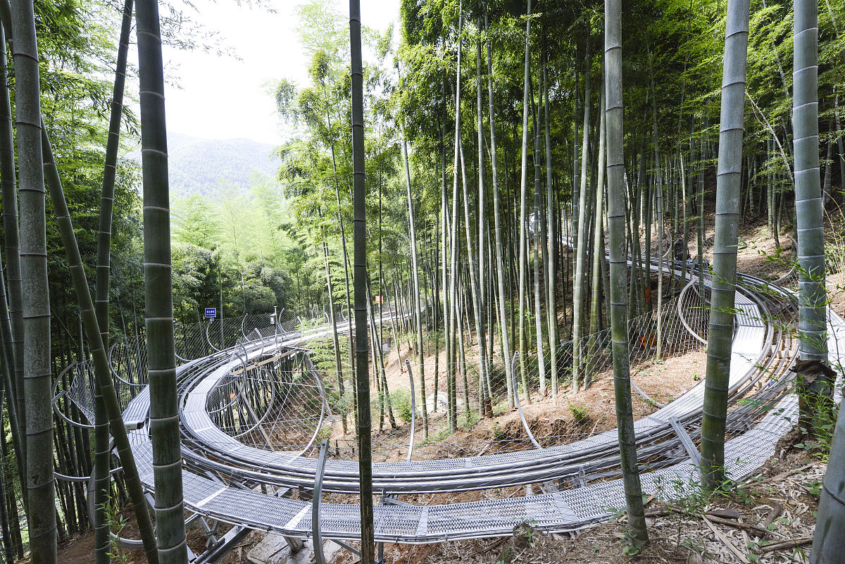 安吉旅游攻略：必玩景点推荐，感受自然与文化魅力