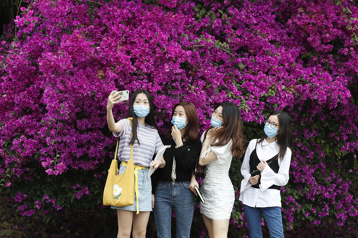重庆电信职业学院单招招生简章(2023) - 报考指南 重庆电信职业学院单招招生简章(2023) - 报考指南