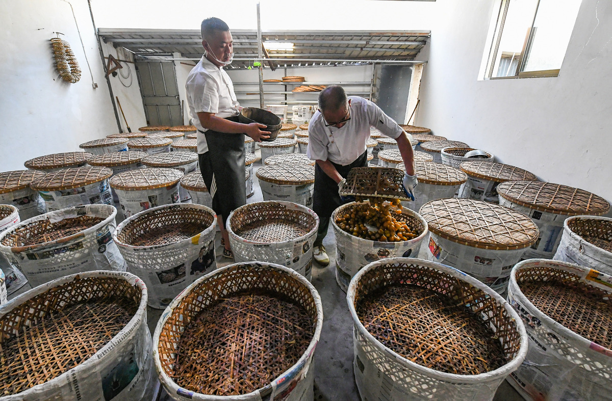 陈皮仓储参观体验：感受传统中药材的独特魅力