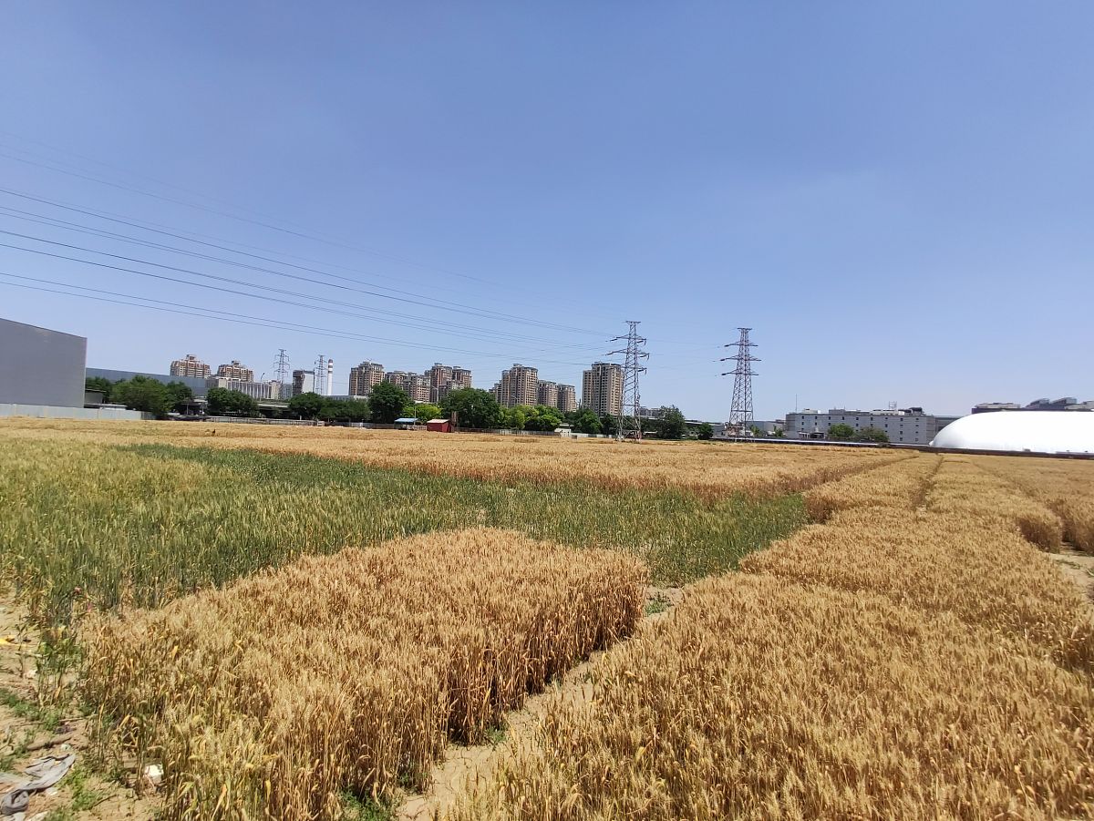 重庆第二农业学校2020年招生简章 | 农业人才培养的摇篮