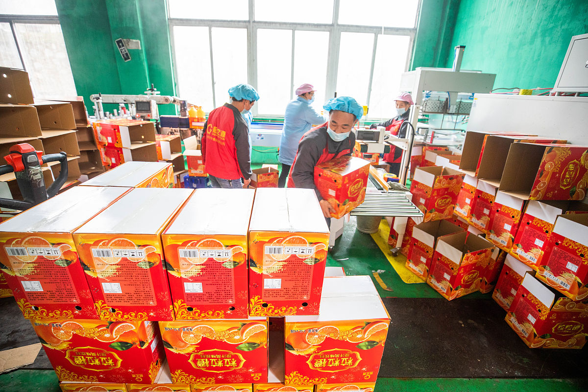 花炮生产与管理方向专科专业怎么样？