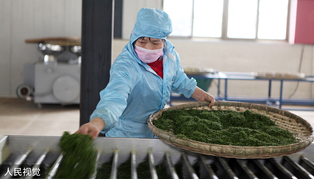 永川秀芽的竞争优势分析