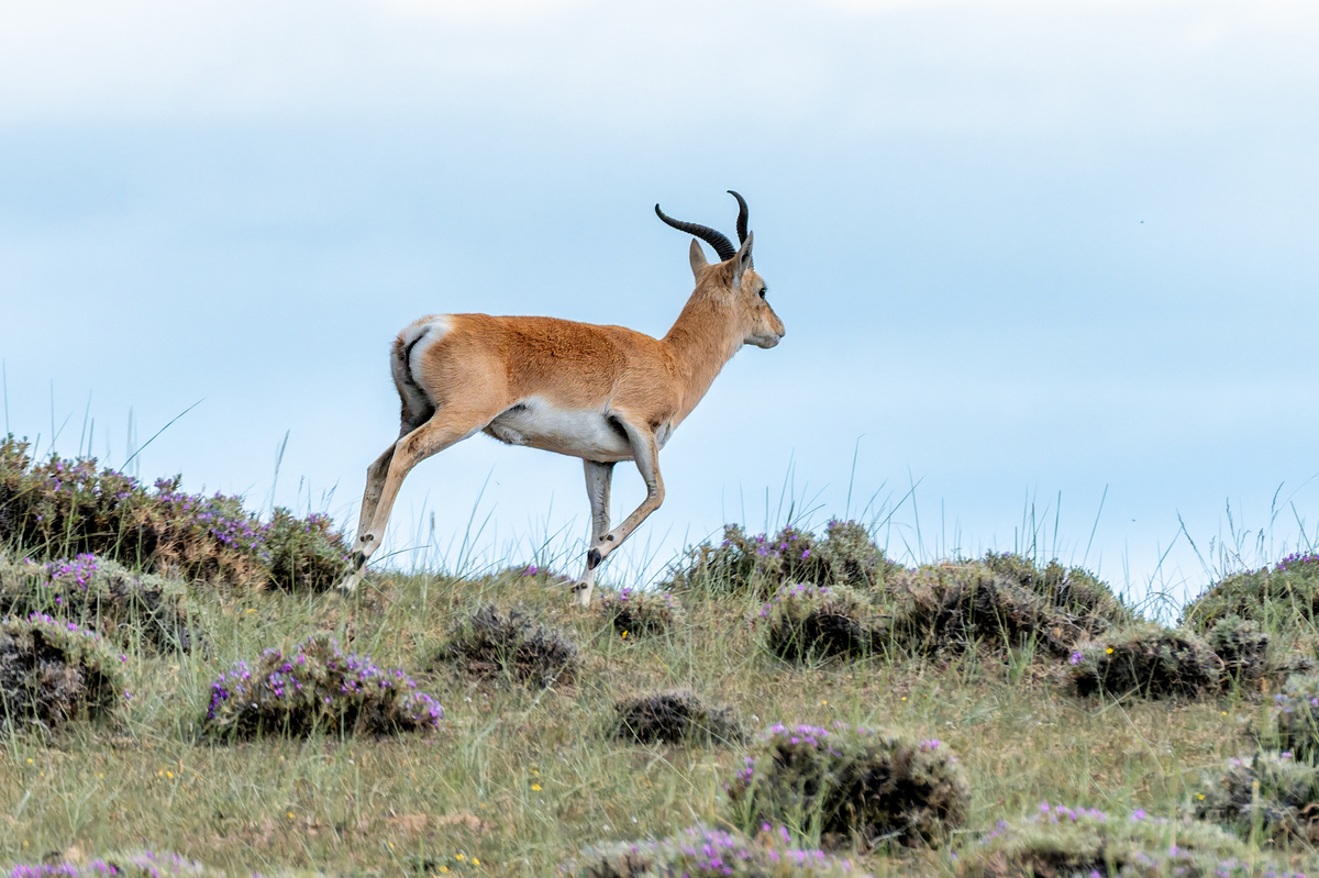 青海职业高中一览表用发散性思