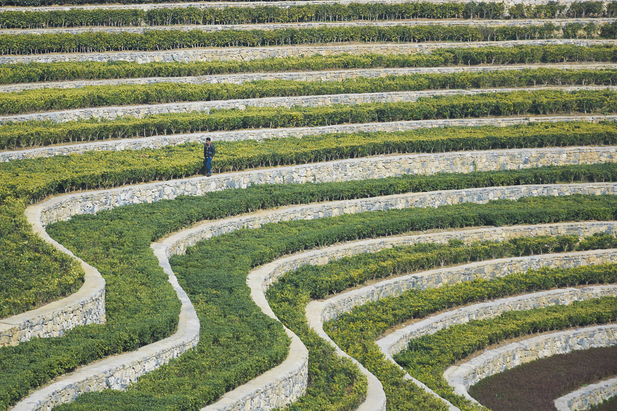 贵州中等职业学校2019年招生简章