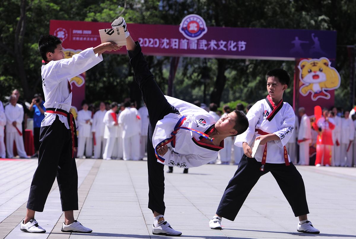 山西师范大学武术与民族传统体育专业怎么样