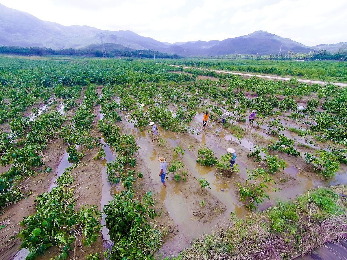 湖州市现代农业技术学校作物生产技术专业就业前景分析：热门专业，前景广阔！