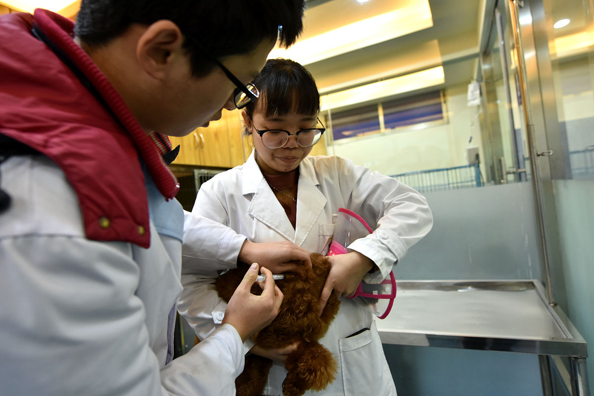 四川省卫校中医康复保健专业招生简介 - 培养高素质康复保健人才