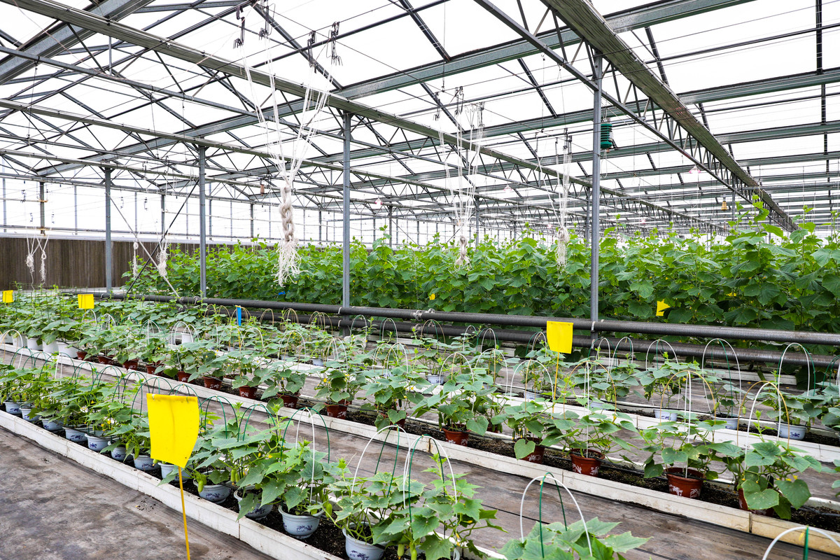 设计一个有科技感的农场名字