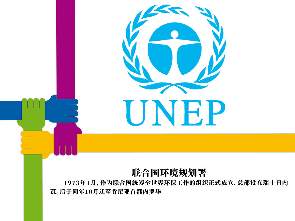 环境报告首次成为基本国策是什么时候