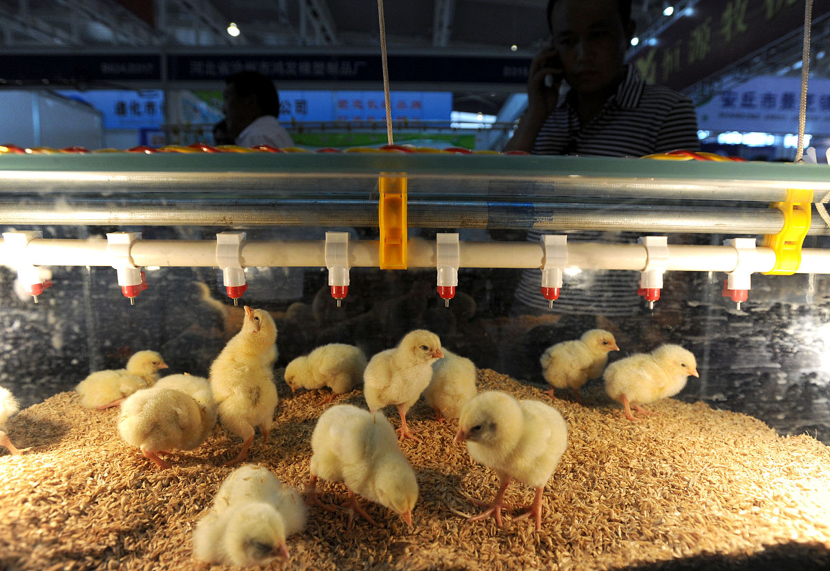 铜仁市技工学校畜牧兽医专业：就业前景广阔