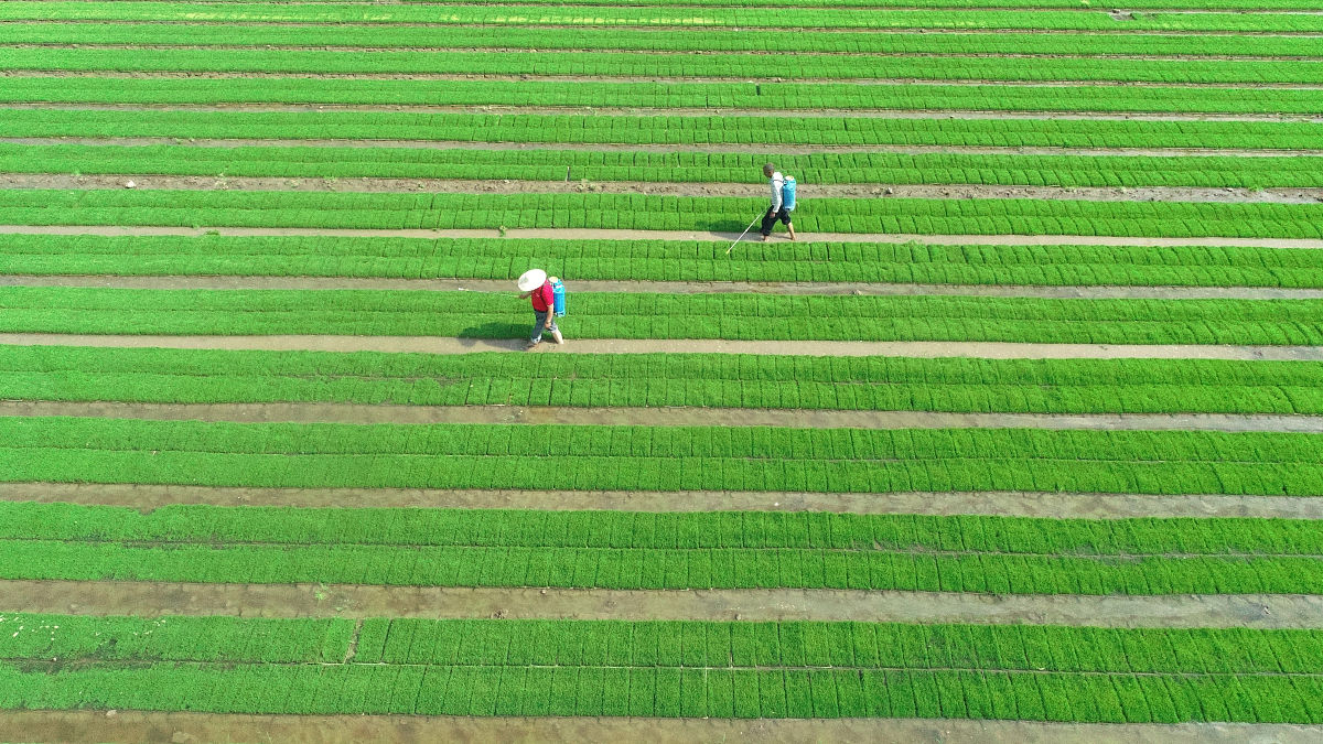 贵州内贸学校合作社经营管理专业好不好