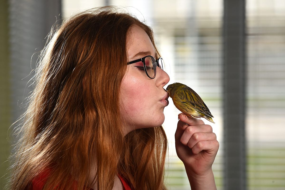 怎样将照片放到申请表上 操作步骤帮我用210字详细描述