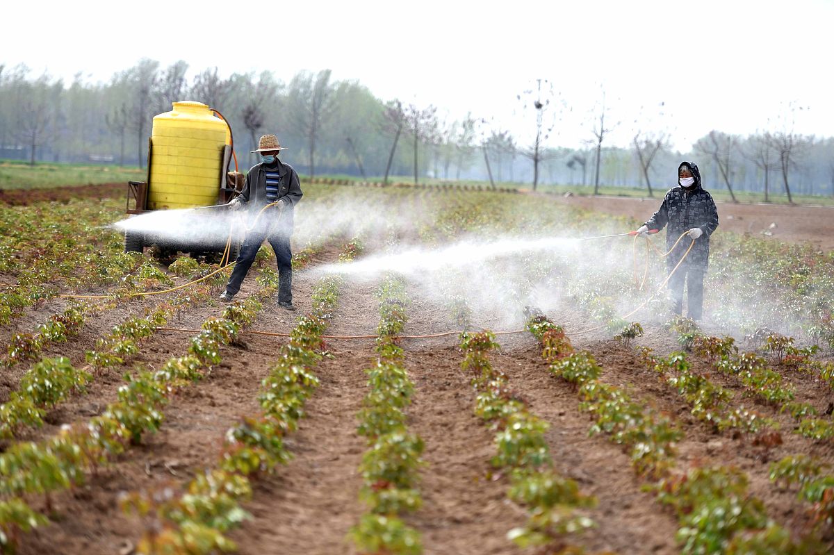 害虫管理科学：农业、园艺和林业的学术期刊