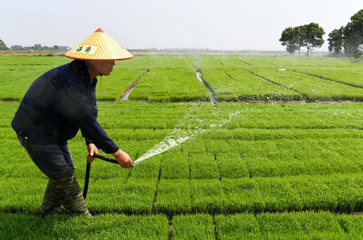 运用生物防治手段防控害虫对现代农业发展的意义不分点描述