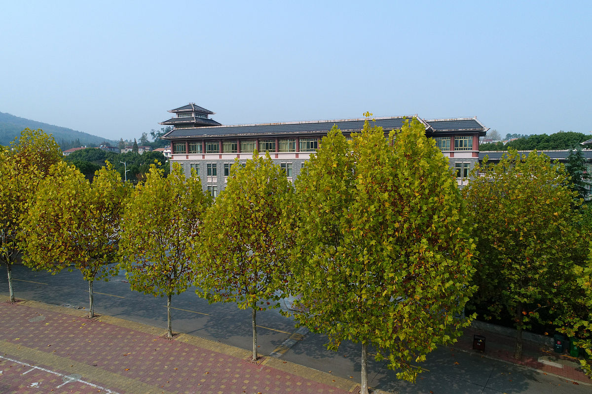 湖北师范学院文理学院学前教育专业:就业前景与发展方向
