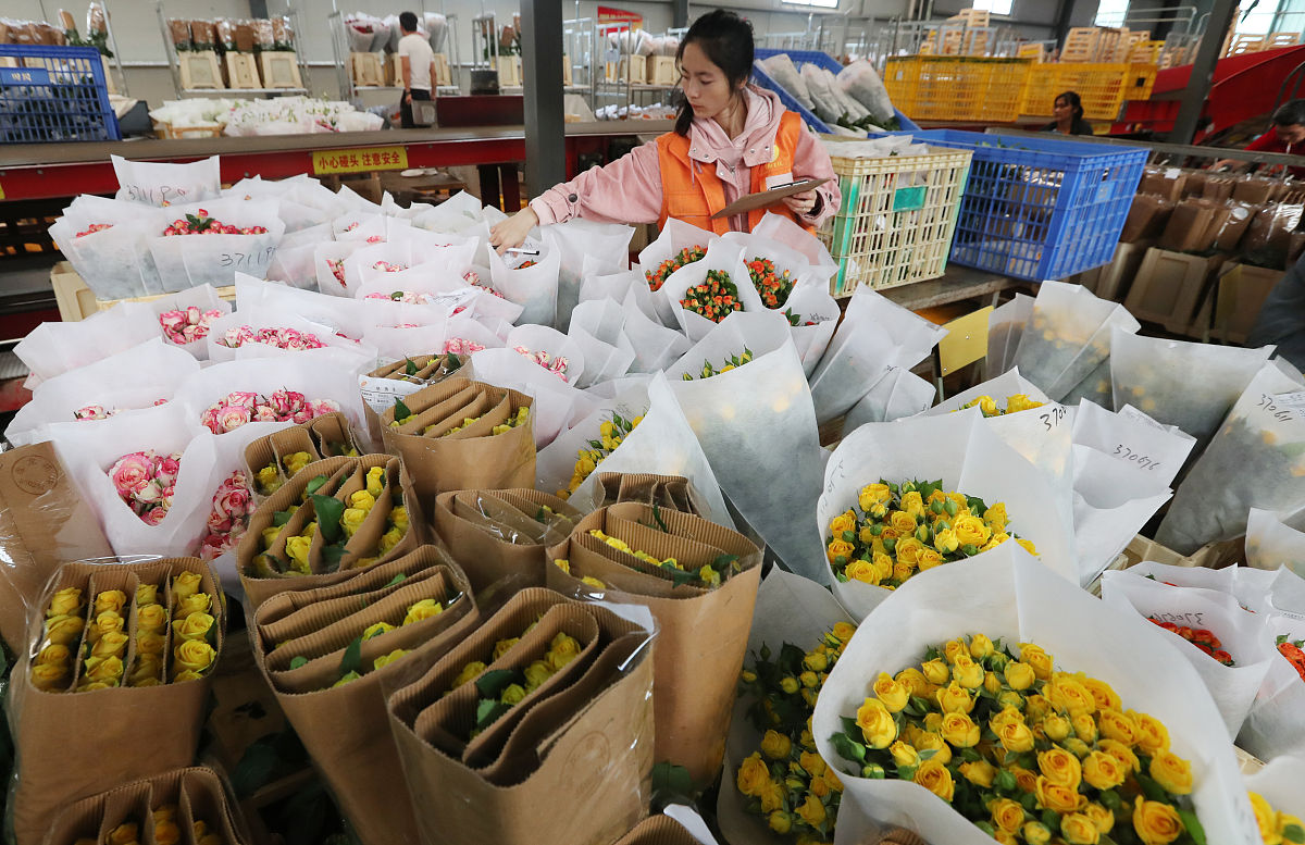 2021年7月23日,昆明,在昆明斗南花卉电子交易中心流水线,质检员忙碌着
