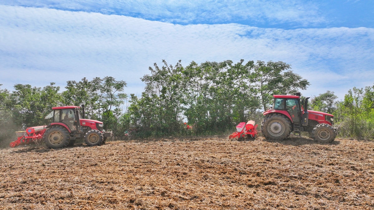 分析延安地区旱作玉米的农田播前整地及除草状况自行添加数据进行分析不少于500字。
