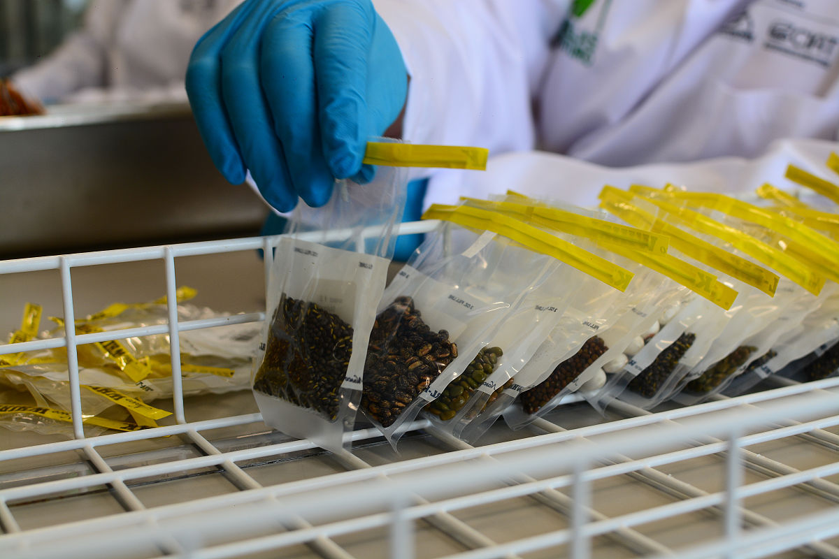 种子生理学既是农林学科中的一个重要分支同时又属植物生理学中的发育生理和代谢生理范畴而且当前作为种子生理学极为重要领域的种质保存问题又涉及到遗传学生物化学和保护生物学的内容正因其具有学科的多重性彼此间的交叉与渗透既推动了种子生理学的本身也有助于促进相关学科的发展。在种子生理学领域你觉得哪一性状或者生理过程比较重要是未来关注重点是作为研究生可以值得深入研究的请谈谈你的看法并给出原因和此性状的国内外研究