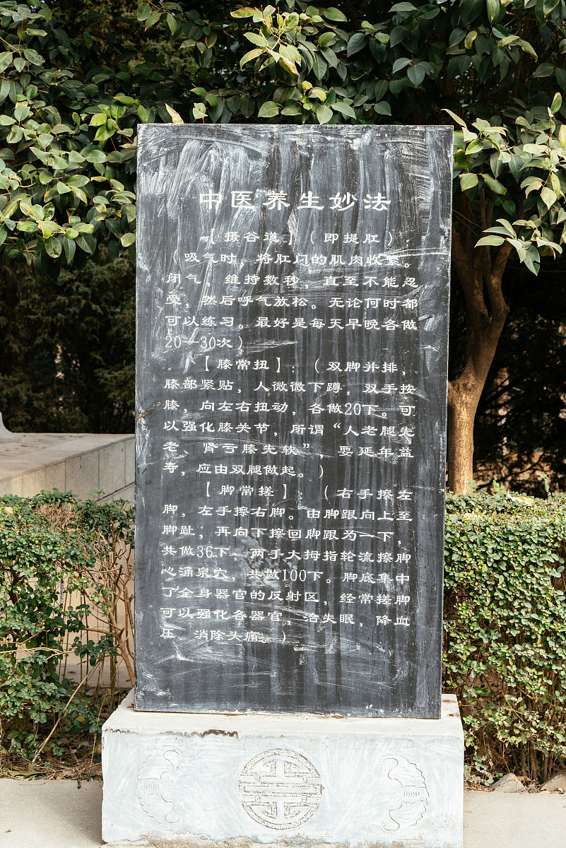 2018年2月18日,西安市临潼区代王街道办事处纸李乡,扁鹊纪念馆图纪.