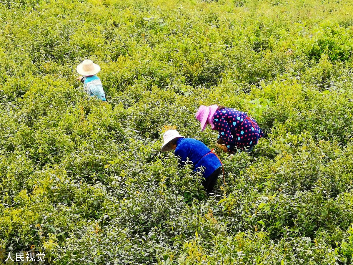 社区十五分钟生活圈建设：如何应对商业化挑战？