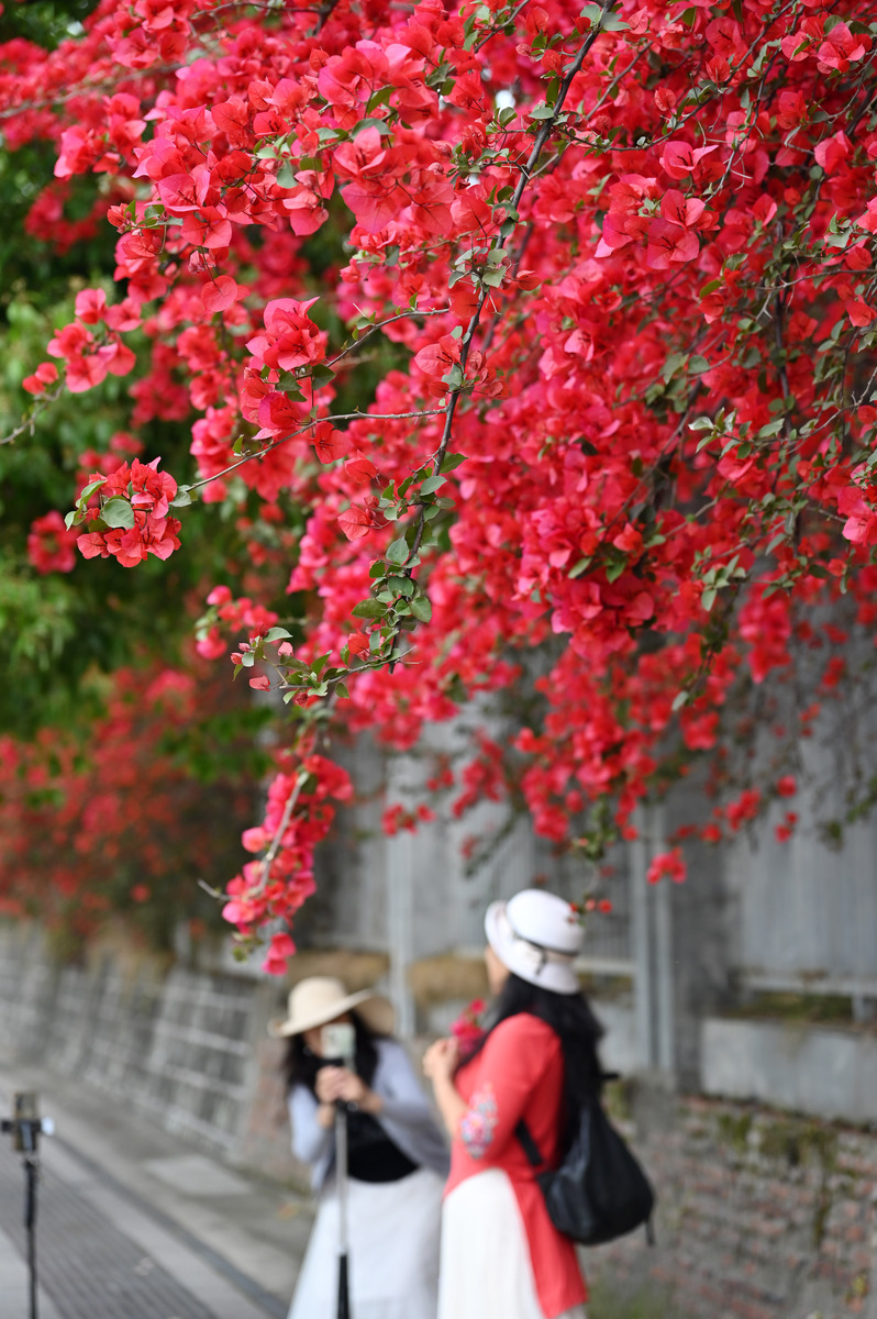 2026年4月11日,在四川省内江市市中区石羊大道中段,在