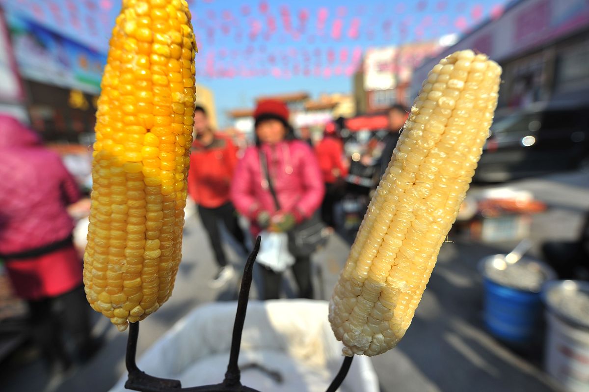新鲜甜脆！那吉屯鲜食玉米开抢！