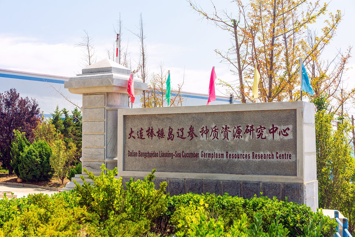 榆林矿业能源化工学校有哪些专业