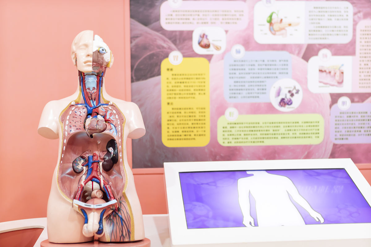 病理科女性生殖、呼吸系统亚专科