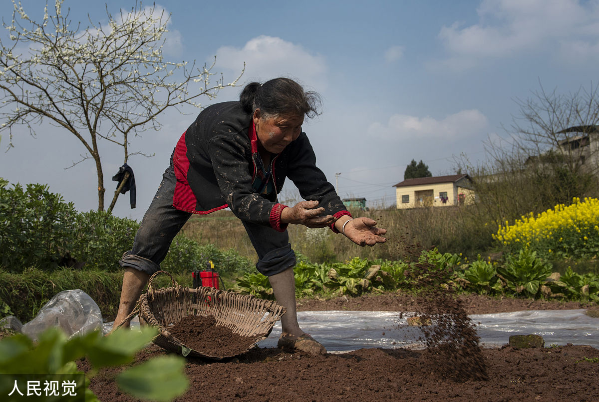 武胜职业技术学校2020招生简章