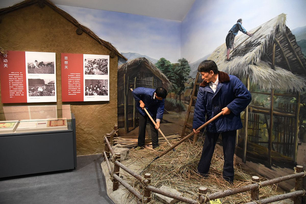 参观隆平水稻博物馆社会实践报告 - 探索水稻世界，启迪未来发展