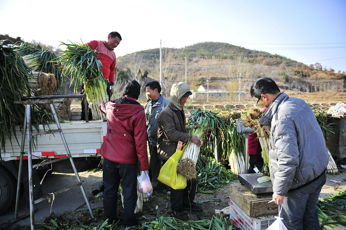 暑期三下乡实践报告总结：深入农村，感受农民辛勤劳动