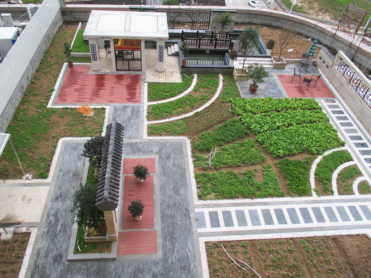 小高层楼顶种花种菜打造屋顶花园可行吗？