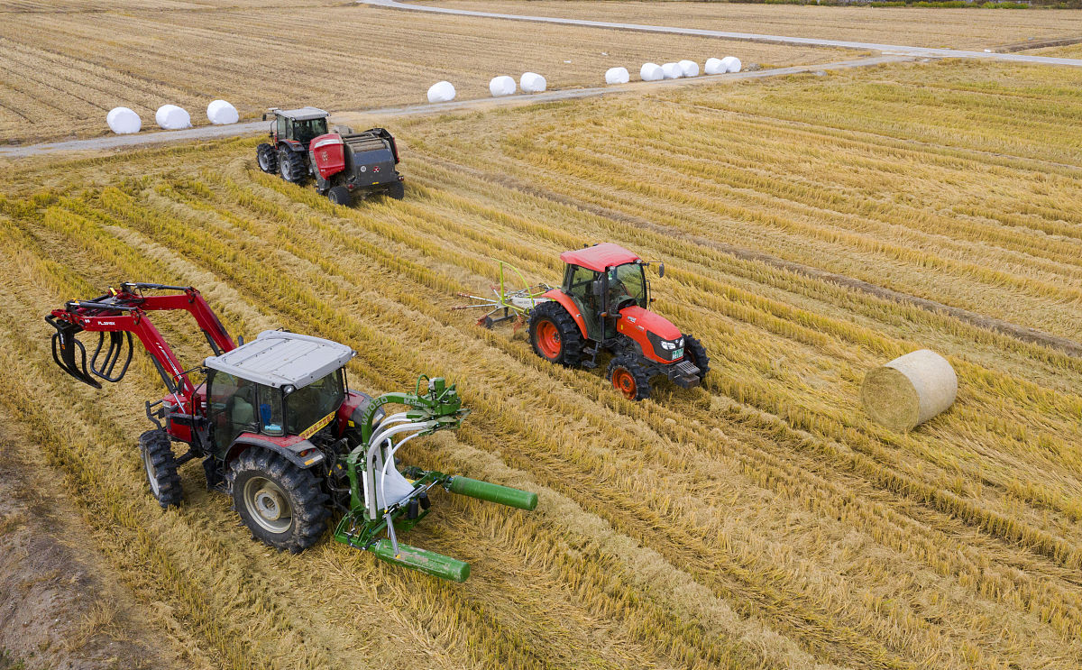 云南省曲靖农业学校2019年五年制高职专科联系方式