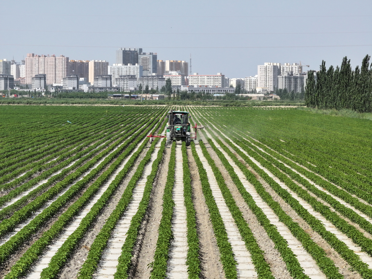 延长县农业及机械化推广过程中群众参与度不高问题的具体分析结合延安市延长县实际情况进行论述不得少于800字。