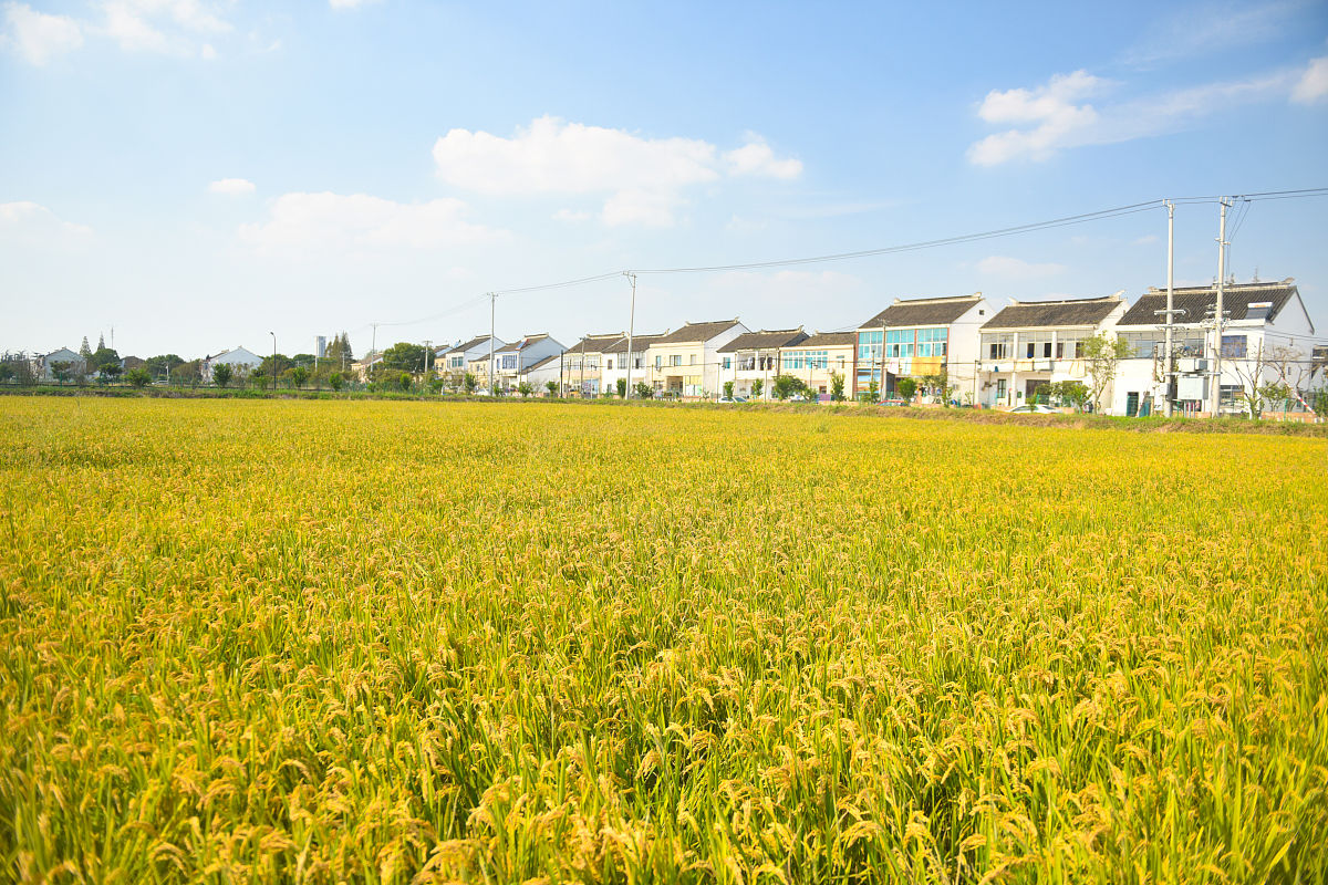 邢台农业学校2023年招生专业：农业机械化、电子商务等