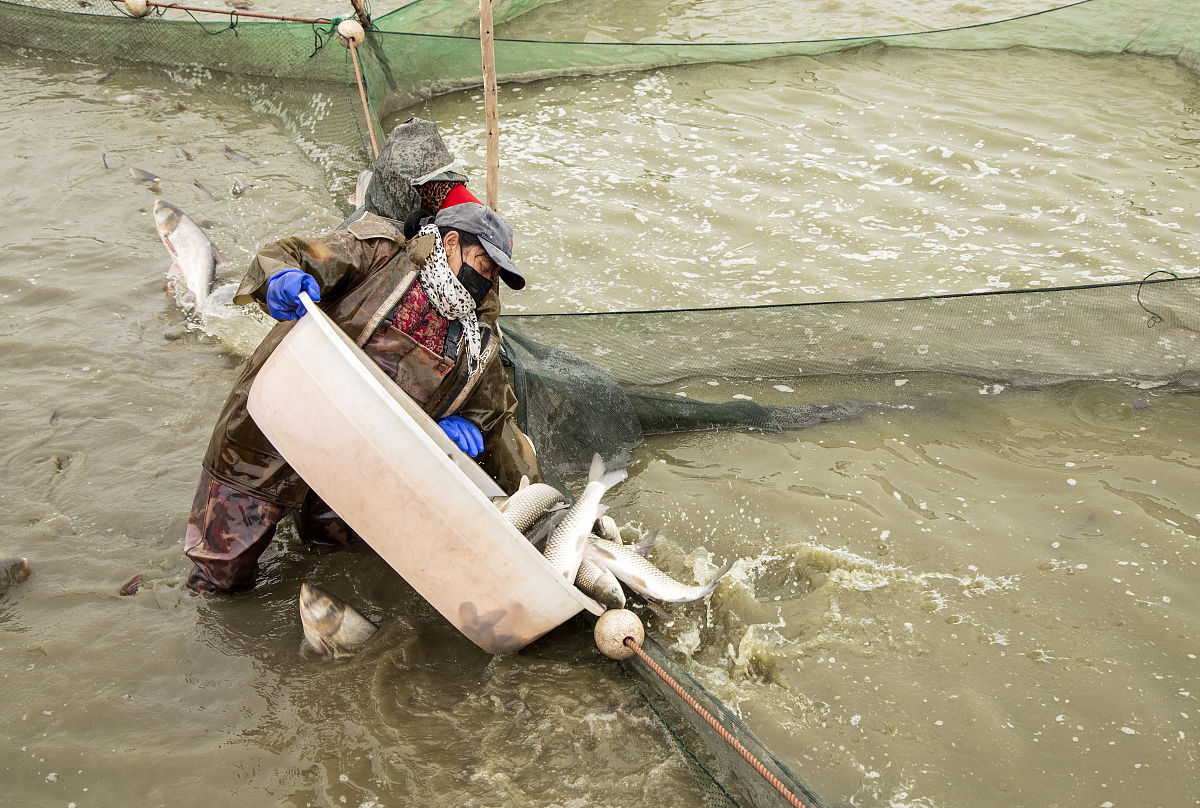 威海市水产学校招生条件-分数线-2024年招生简章