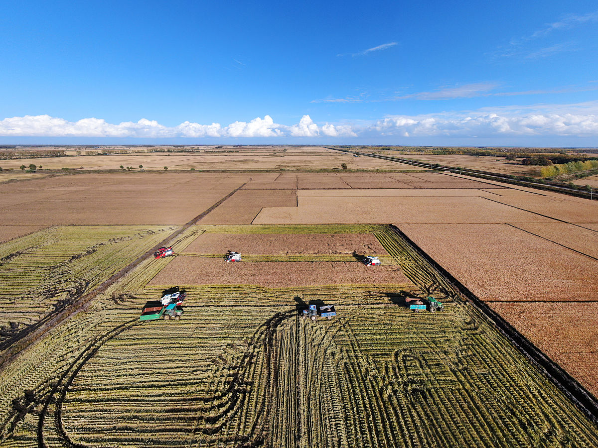 乌克兰农业：欧洲粮食供应的重要来源 | 黑土地资源丰富