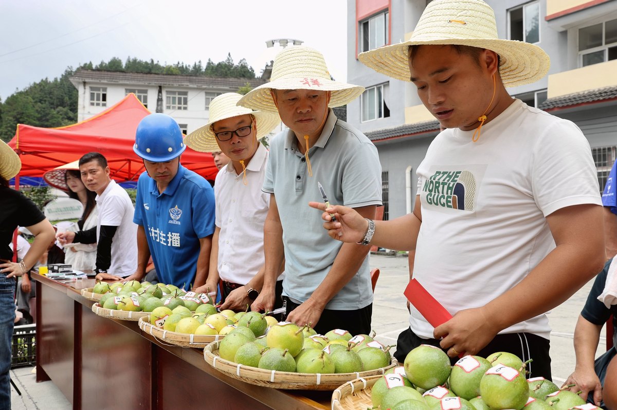 百色芒果田东芒果文化节旅游开发问题研究：难题与解决思路
