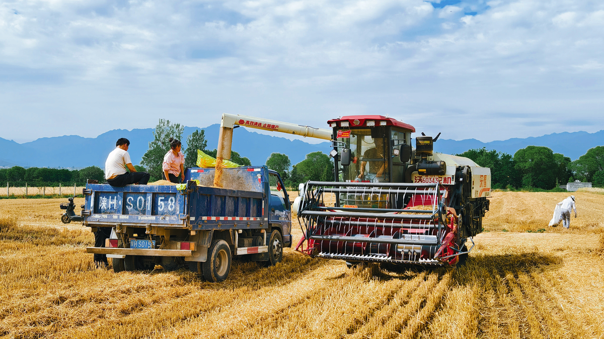 番田镇紧抓三夏生产工作：各村对六帮六助进行走访入户慰问；注意三夏农用机械使用安全提醒群众注意用电用气动火安全；全镇保障粮食晾晒准备好室内应急晾晒场地；写一篇通讯稿。