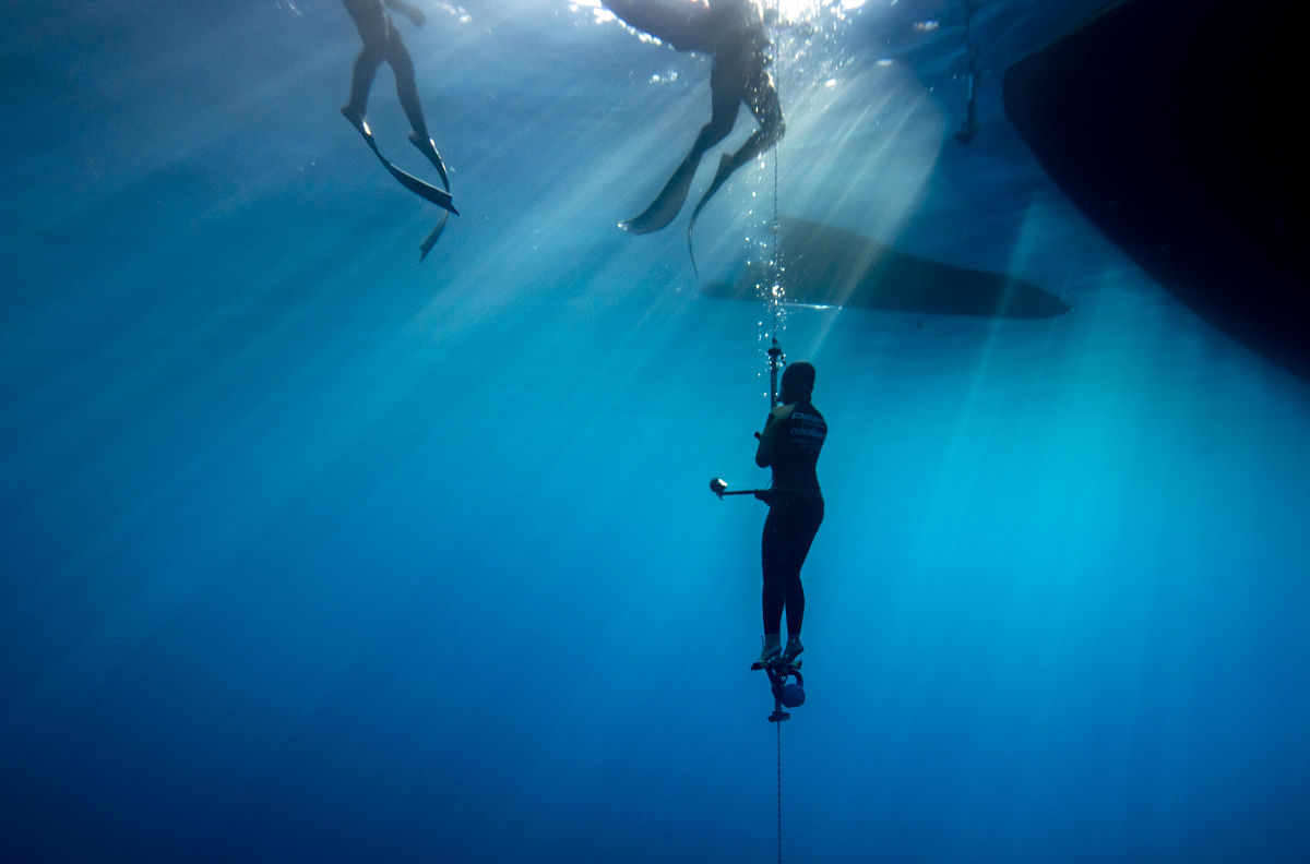 车险出单员兼美工周记第二周