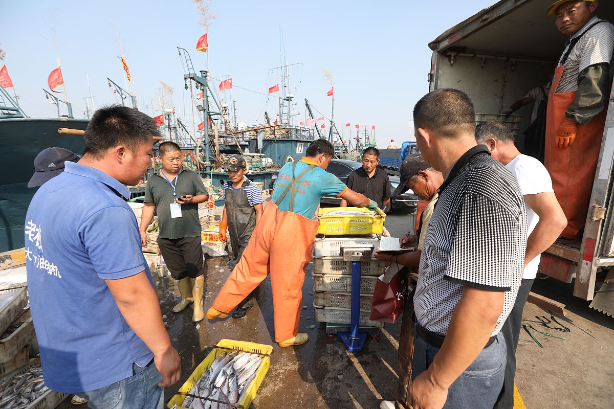 渔船直供！生鲜直播带货店铺名字推荐