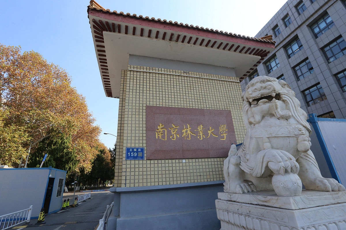 北京中医药大学中药学院二零二零2022年招生简章