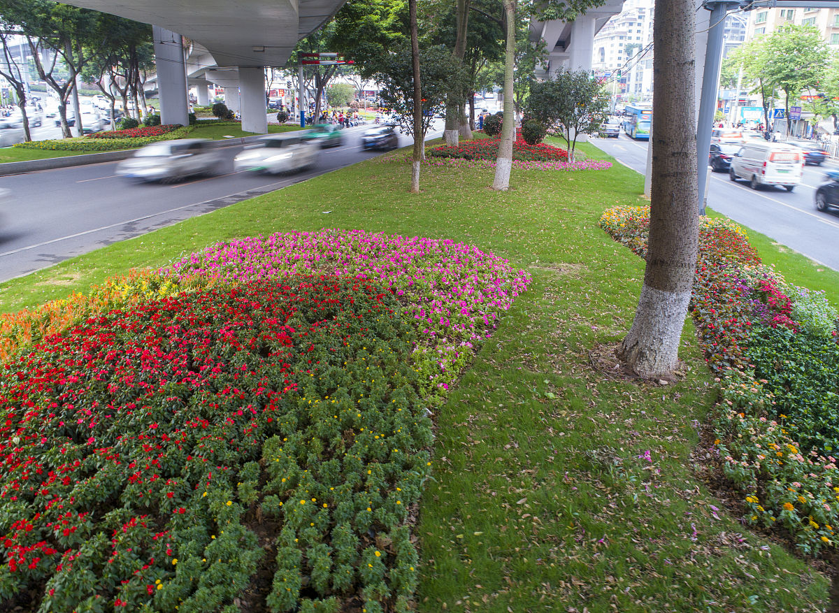 关于绿化市容系统政治监督具体化精准化常态化的调研报告字数两万字左右